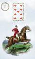 Rider