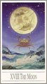 The Moon