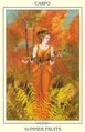 Card 12