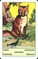 Card 03