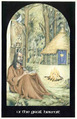 The Hermit