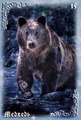 Card 16
