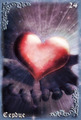 Card 25