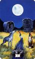 The Moon