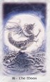 The Moon