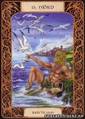 Card 15