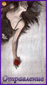 Card 02