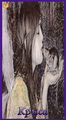 Card 11