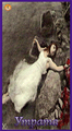 Card 12