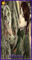 Card 14