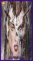 Card 18