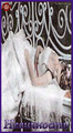 Card 40