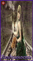 Card 47