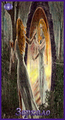 Card 65
