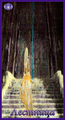 Card 67
