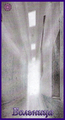 Card 75