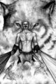 Arcana 23
