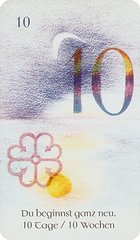 10 днів / 10 тижнів