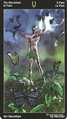The Hierophant
