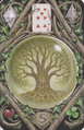 Card 05
