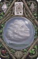 Card 06