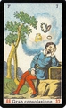 7 of Wands