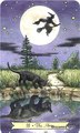 The Moon