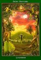 Card 05