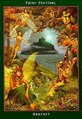 Card 06