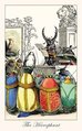 The Hierophant