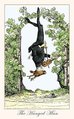 The Hanged Man
