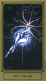The Star