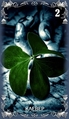 Card 02