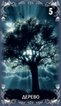 Card 05