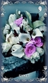 Card 09