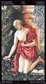 The Hermit