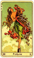 Card 05