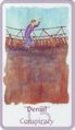 Card 15