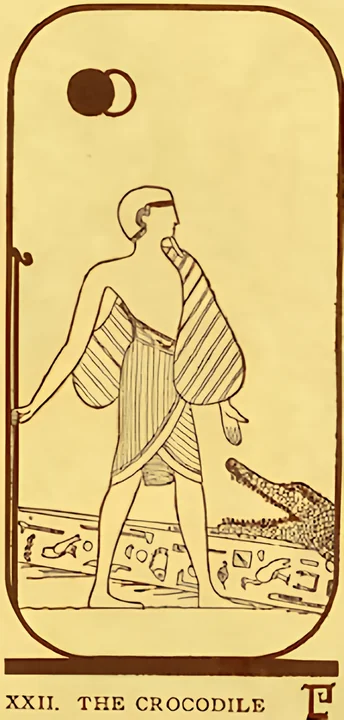Ibis Tarot