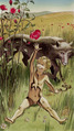 The Fool
