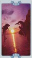 The Sun