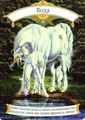 Card 05