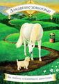Card 09
