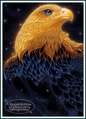 Card 08