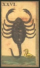 Scorpio