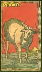Taurus