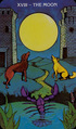 The Moon