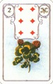 Clover