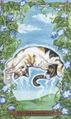 The Hanged Man