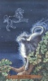 The Star